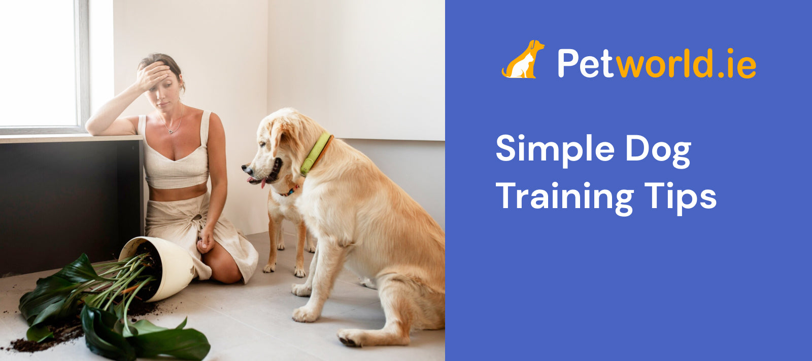 Simple Dog Training Tips &VerticalLine; Petworld