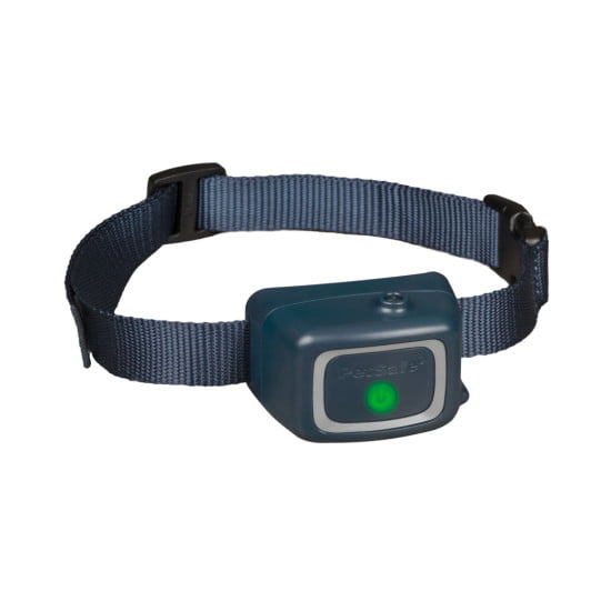 Training Collars for Dogs | Safe & Effective Training - Petworld.ie