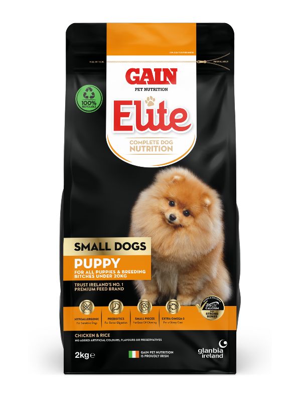 Gain Small Dogs Puppy