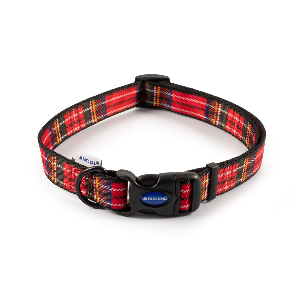Soho Zigzag Nylon Adjustable Dog Collar - PetWorld