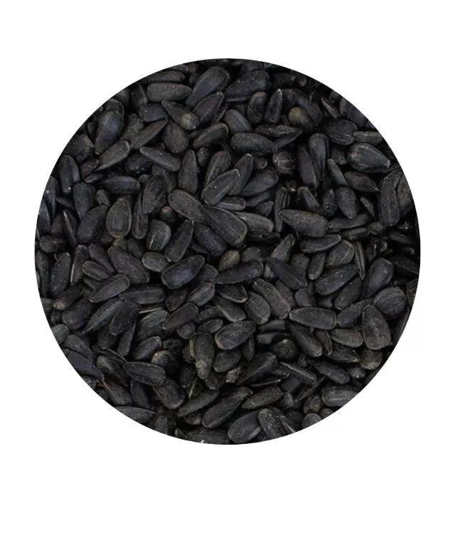 Natures Best Black Sunflower Seed 1kg - PetWorld