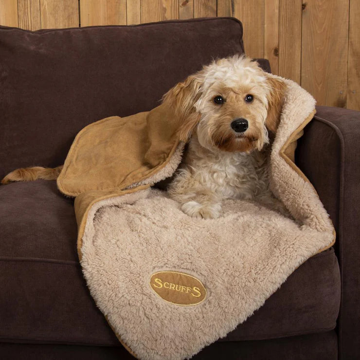 Scruffs Snuggle Blanket - PetWorld