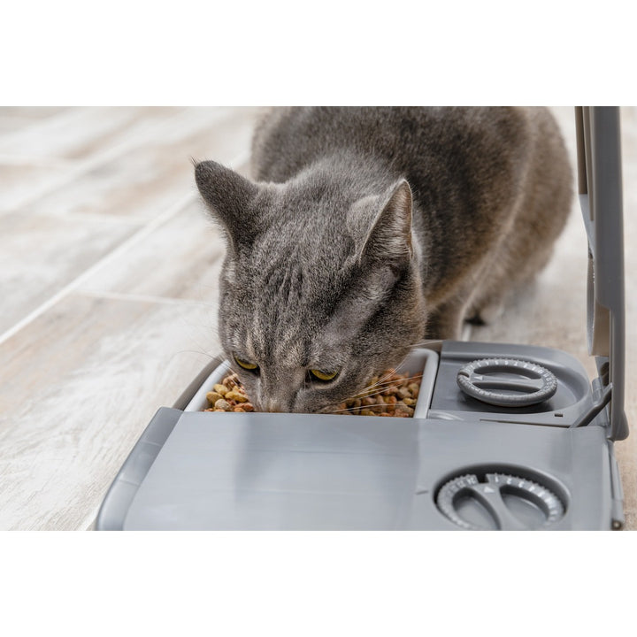 Automatic 2 Meal Pet Feeder - PetWorld