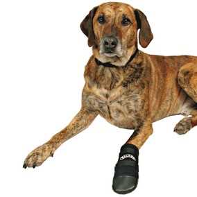 Trixie Dog Boots Medium - PetWorld