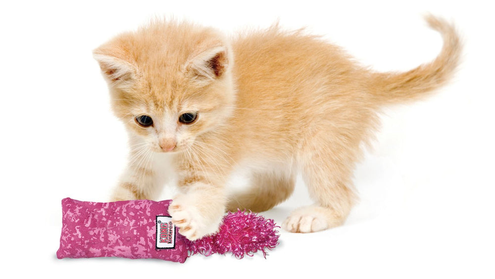 Kong Kickeroo Kitten Toy With Catnip - PetWorld
