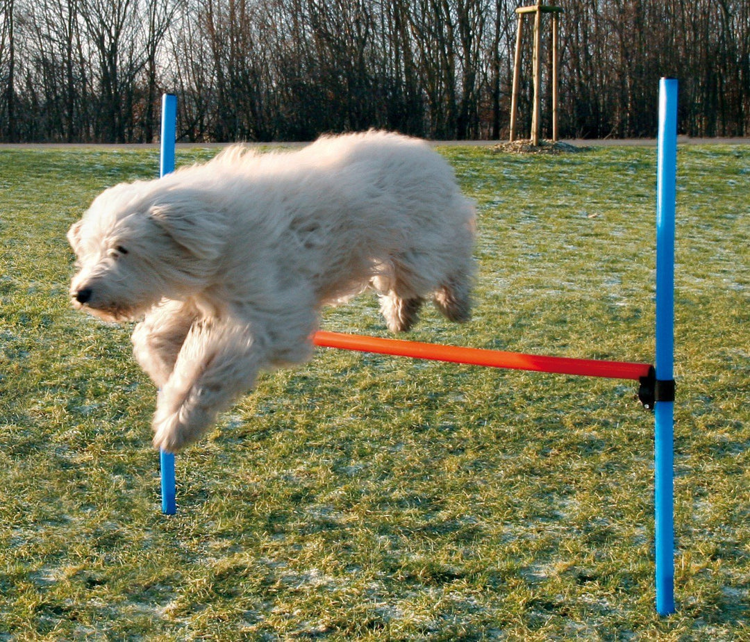 Trixie Dog Activity Agility Hurdle - PetWorld
