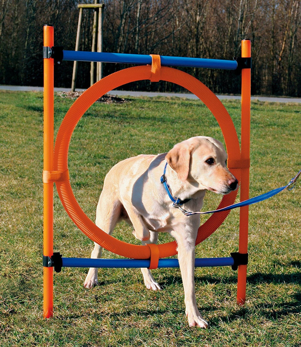 Trixie Dog Activity Agility Ring - PetWorld