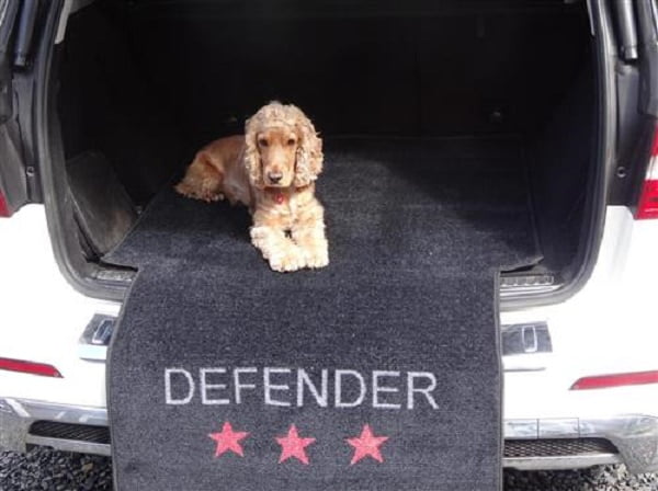 Defender Car Protection - PetWorld