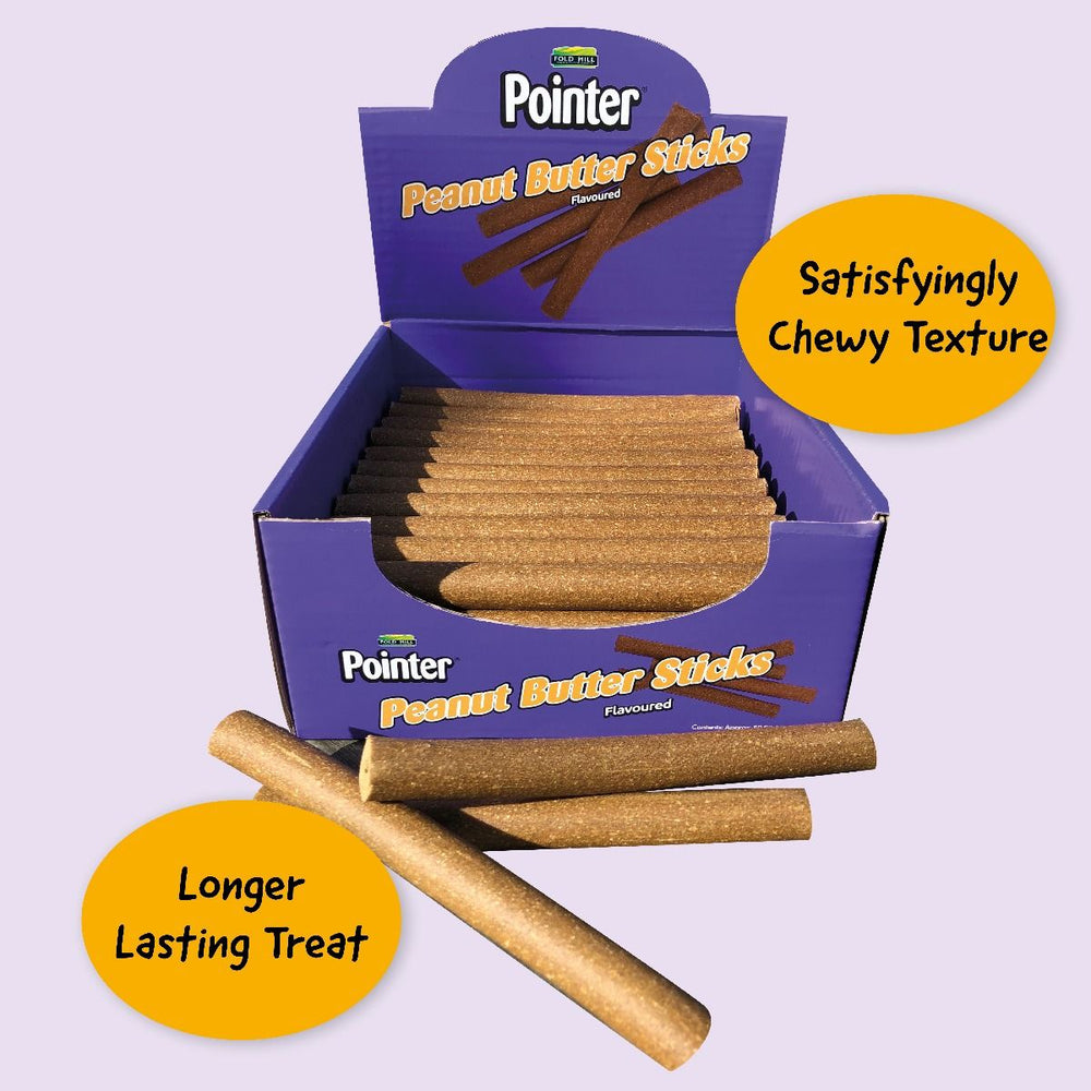 Pointer Peanut Butter Stick 20cm - PetWorld