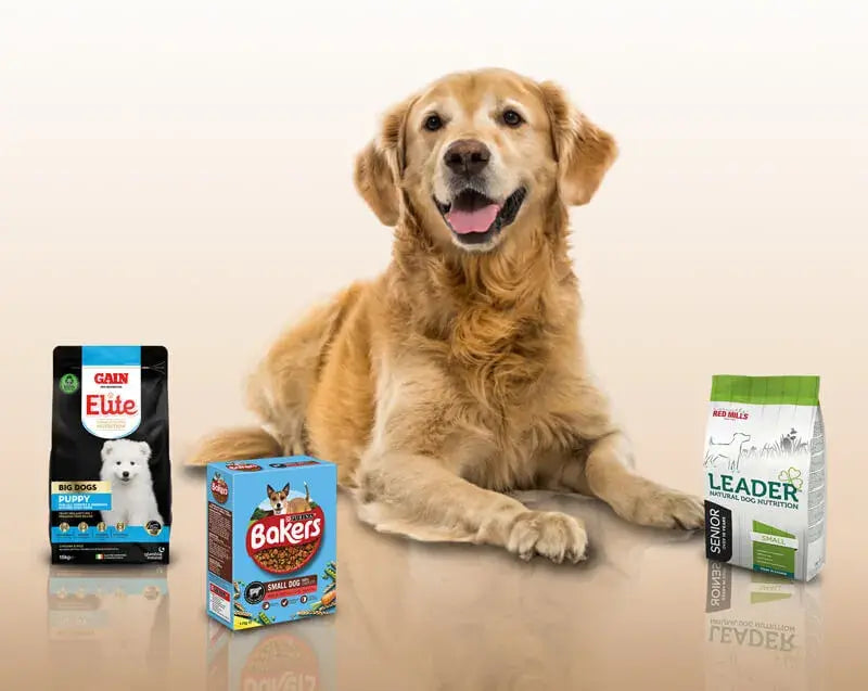 Golden retriever sitting beside GAIN, Bakers and Leader dog food packs at Petworld