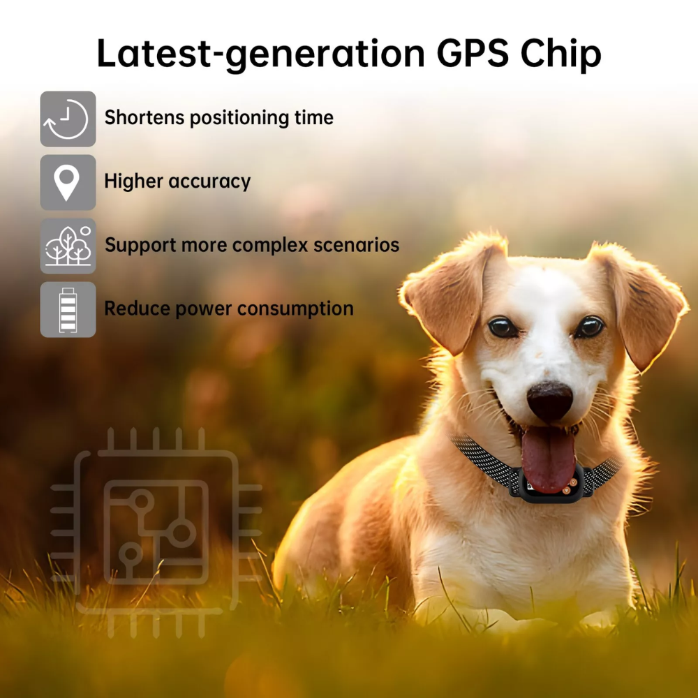 Dog lying in a grassy Irish garden wearing a PawGuard GPS wireless dog fence collar