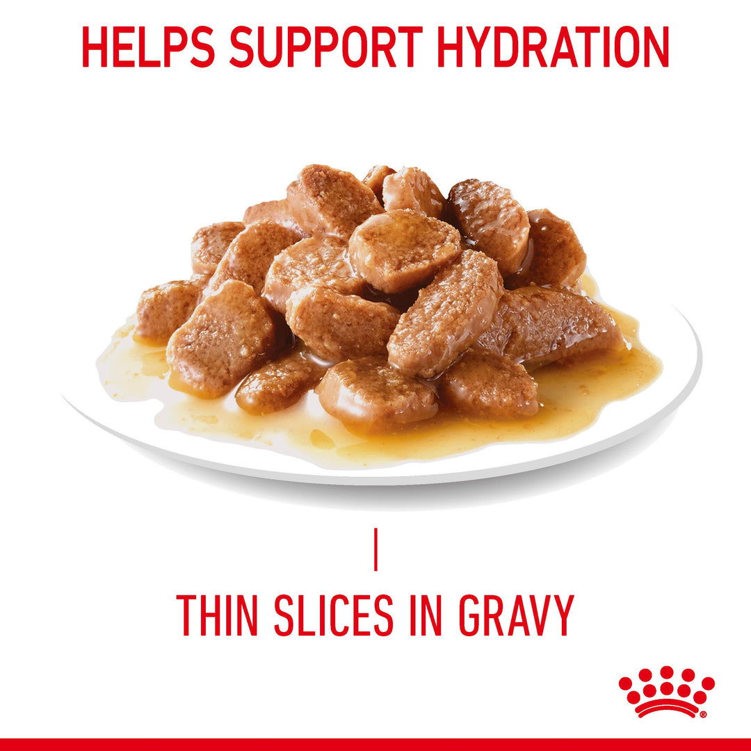 Royal Canin Urinary Care thin slices in gravy texture, helps support hydration
