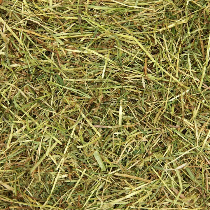 Close up of Nature's Own Devon Meadow Hay texture