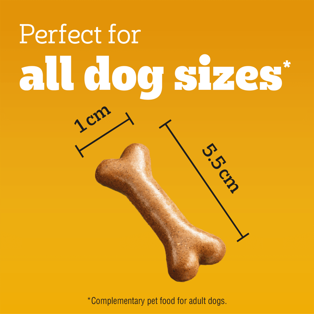 Pedigree Biscrok Gravy Bones biscuit, approx 5.5cm long, suitable for all dog sizes