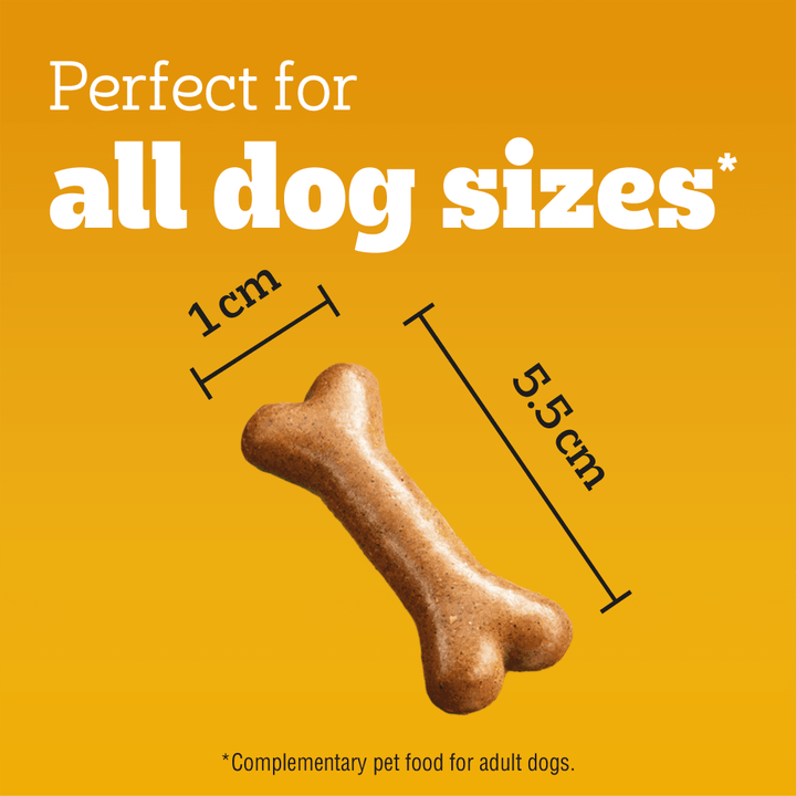 Pedigree Biscrok Gravy Bones biscuit, approx 5.5cm long, suitable for all dog sizes
