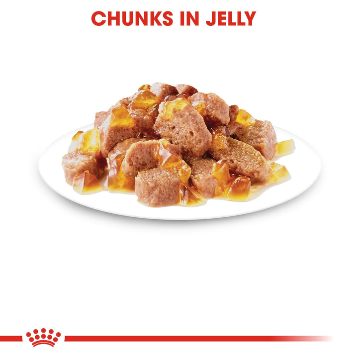 Royal Canin Sterilised chunks in jelly served in a bowl