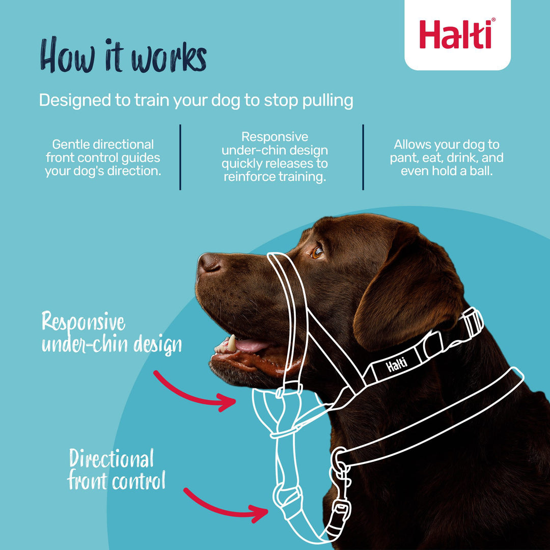 Halti Dog Head Collar Black Size 5