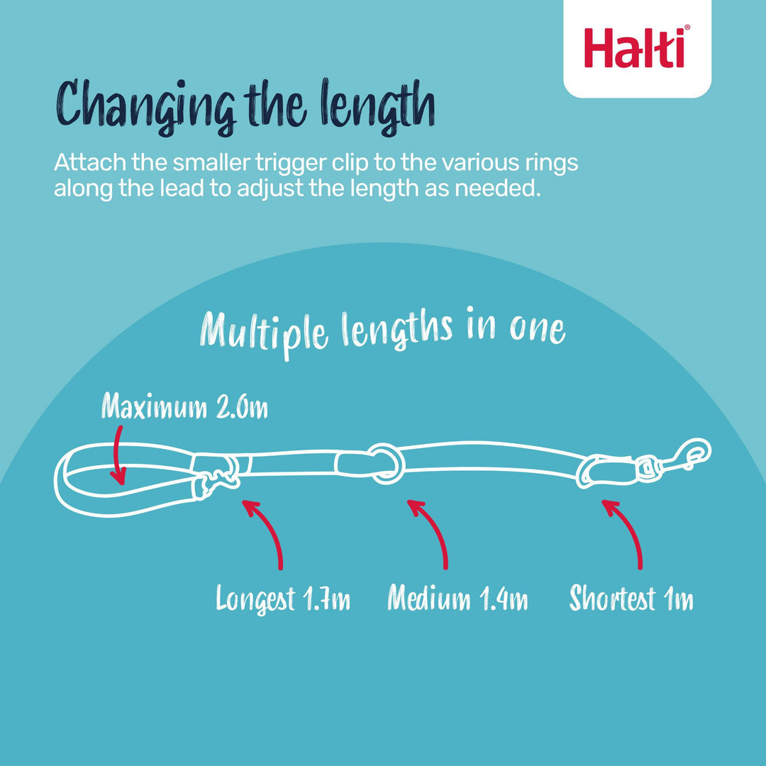 Halti Training Lead adjustable length: shortest 1m, medium 1.4m, longest 1.7m, maximum 2m