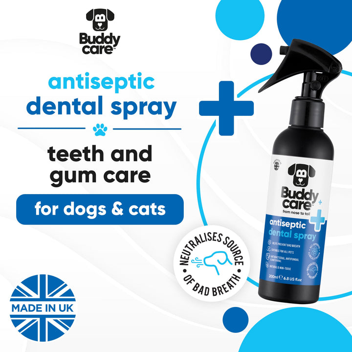 Buddycare Antiseptic Dental Spray: teeth and gum care for dogs and cats, made in the UK