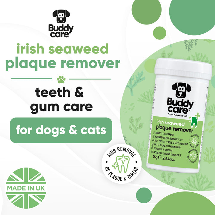 Buddycare Irish Seaweed Plaque Remover for teeth and gum care in dogs and cats, made in UK