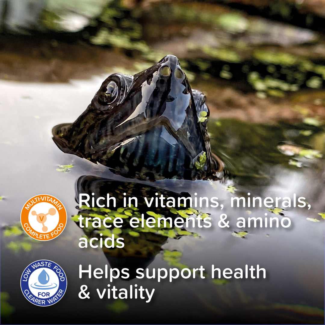 King British Turtle and Terrapin Complete Food: rich in vitamins, minerals, trace elements and amino acids