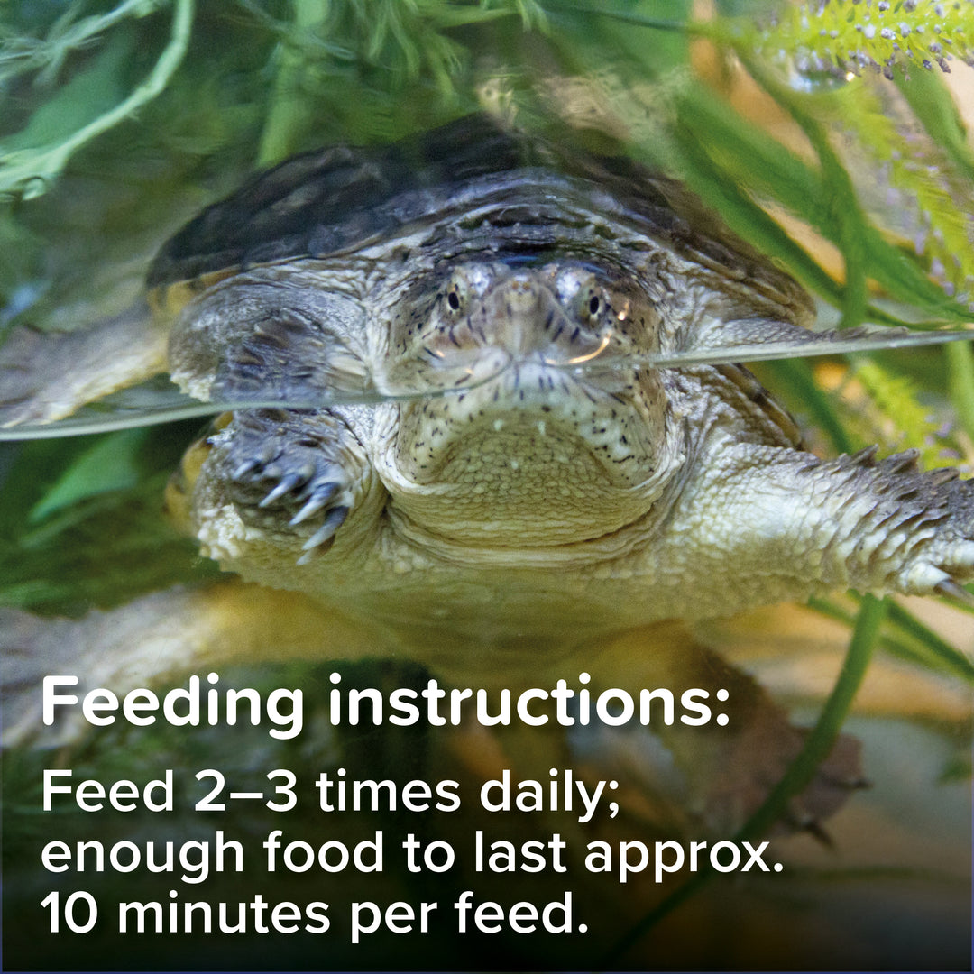 King British Turtle and Terrapin Complete Food feeding instructions graphic
