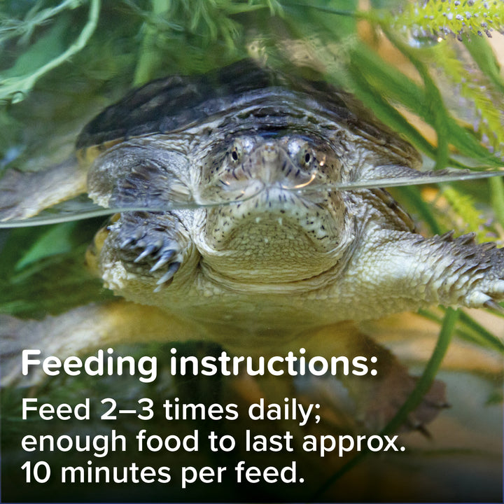 King British Turtle and Terrapin Complete Food feeding instructions graphic