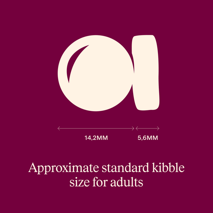 Carnilove Active adult kibble size, about 14.2mm by 5.6mm