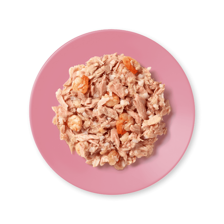 Applaws Tuna Fillet with Prawn in Broth served on a plate