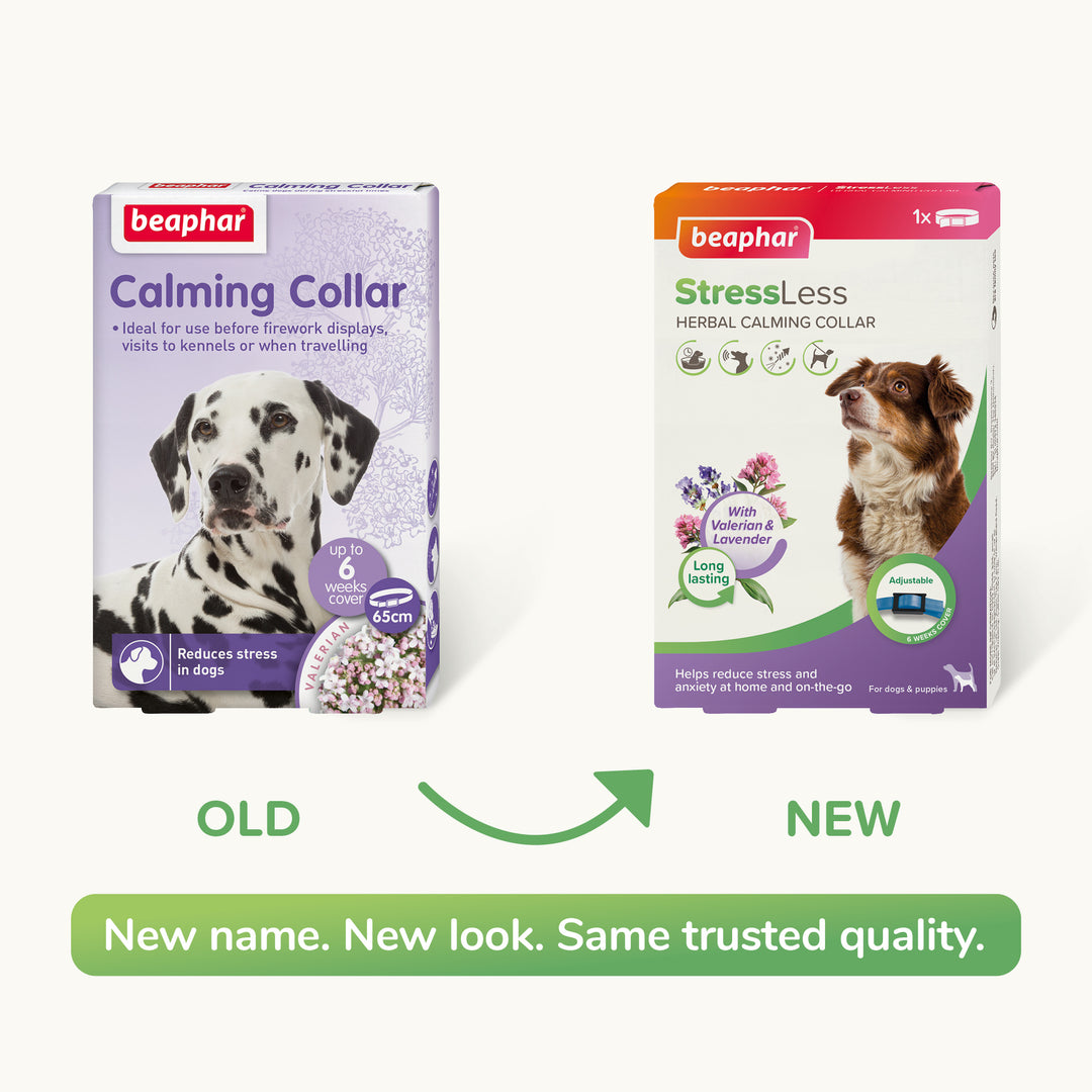 Beaphar Calming Collar for Dogs old pack and new StressLess Herbal Calming Collar pack side by side