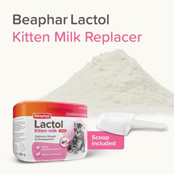 Beaphar Lactol Kitten Milk Replacer tub with milk powder and scoop included