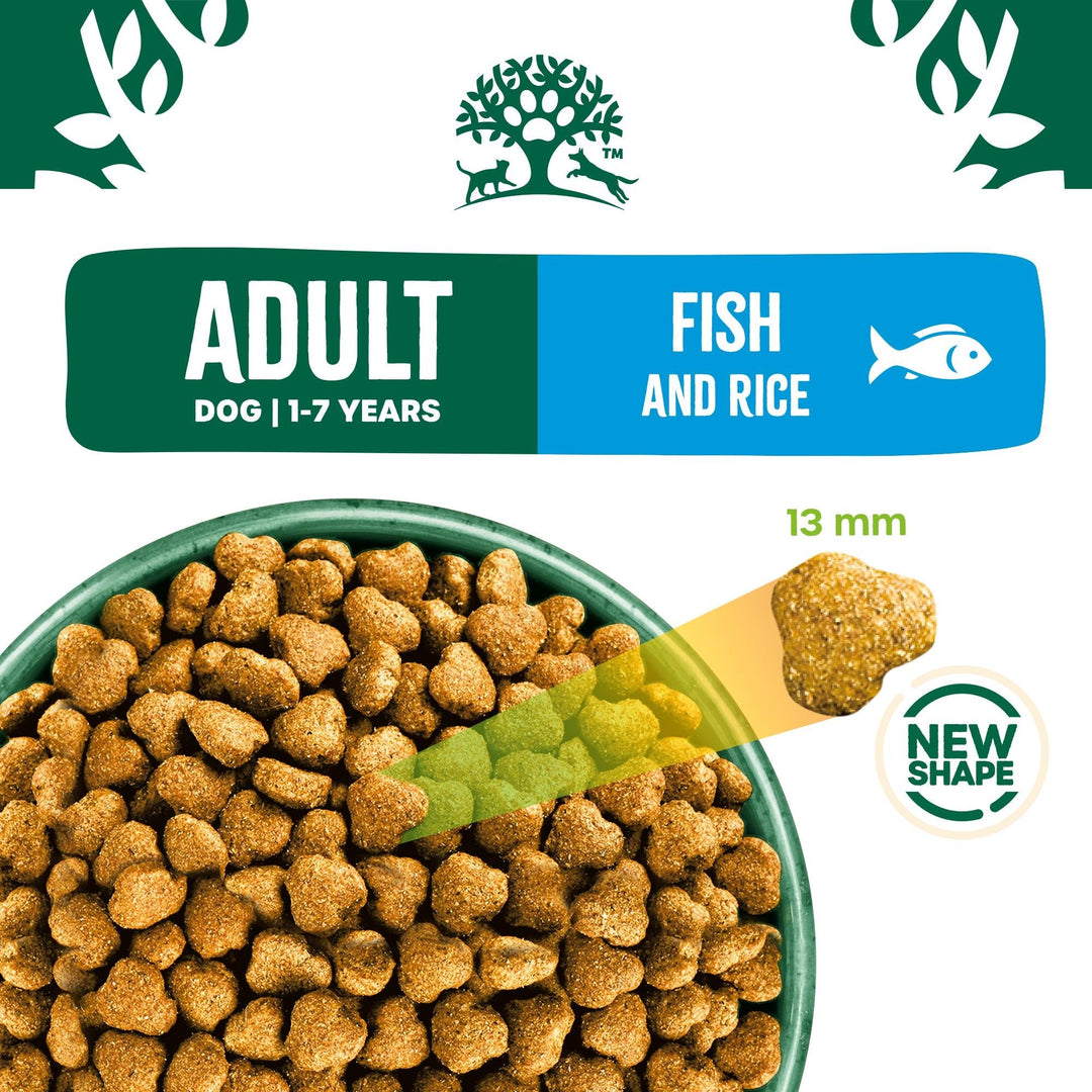 James Wellbeloved Adult Fish and Rice kibble in a bowl, 13mm new shape kibble