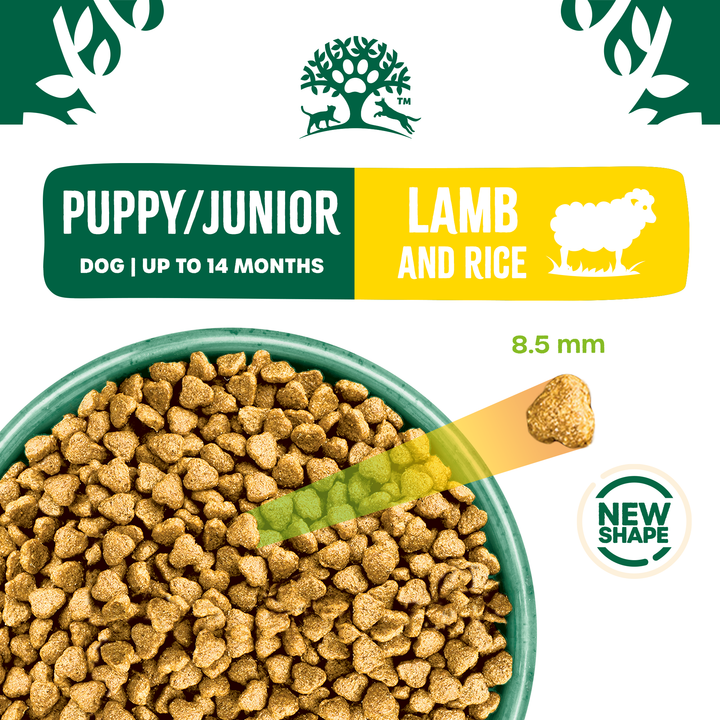 James Wellbeloved Puppy Lamb & Rice kibble in a bowl, 8.5mm kibble
