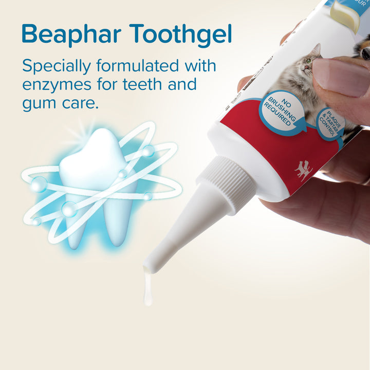 Beaphar Toothgel tube with nozzle applicator, formulated with enzymes for teeth and gum care