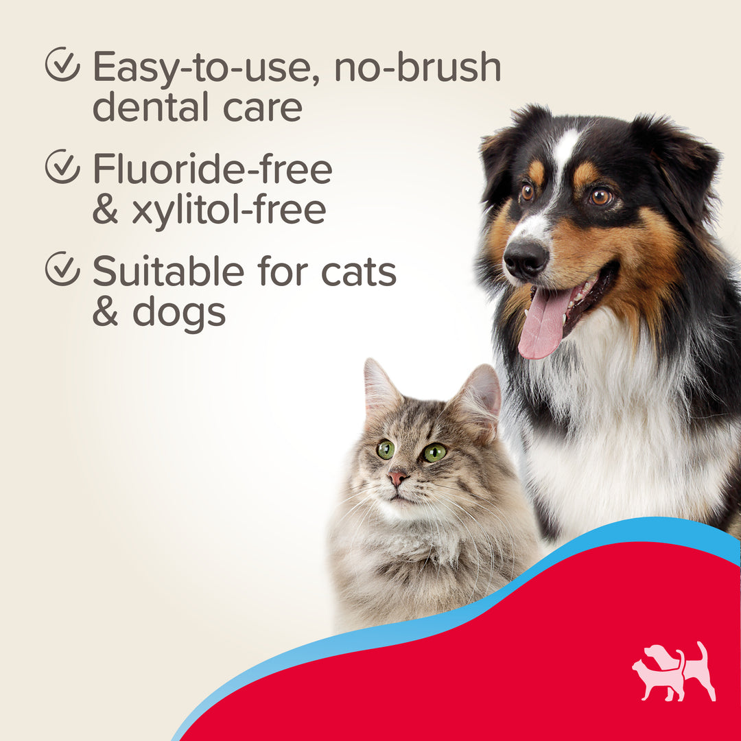 Beaphar Toothgel: easy no brush dental care, fluoride and xylitol free, for cats and dogs