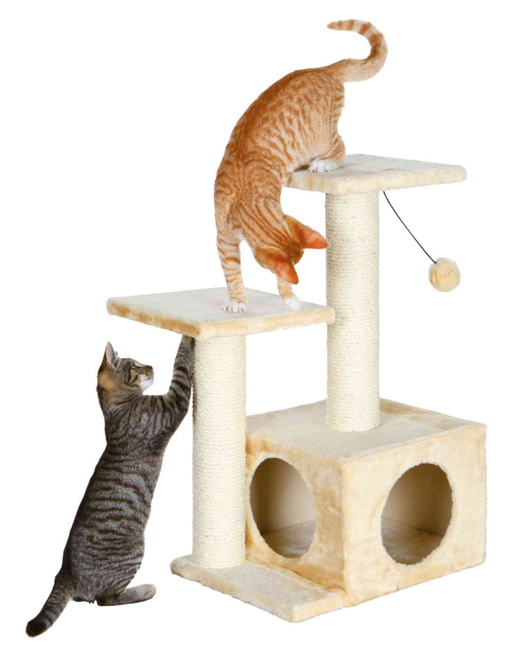 Valencia Cat Scratching Post 71cm (Beige) - PetWorld