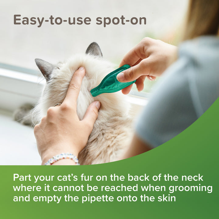 Applying Beaphar VETOpure spot-on to the skin on the back of a cat's neck