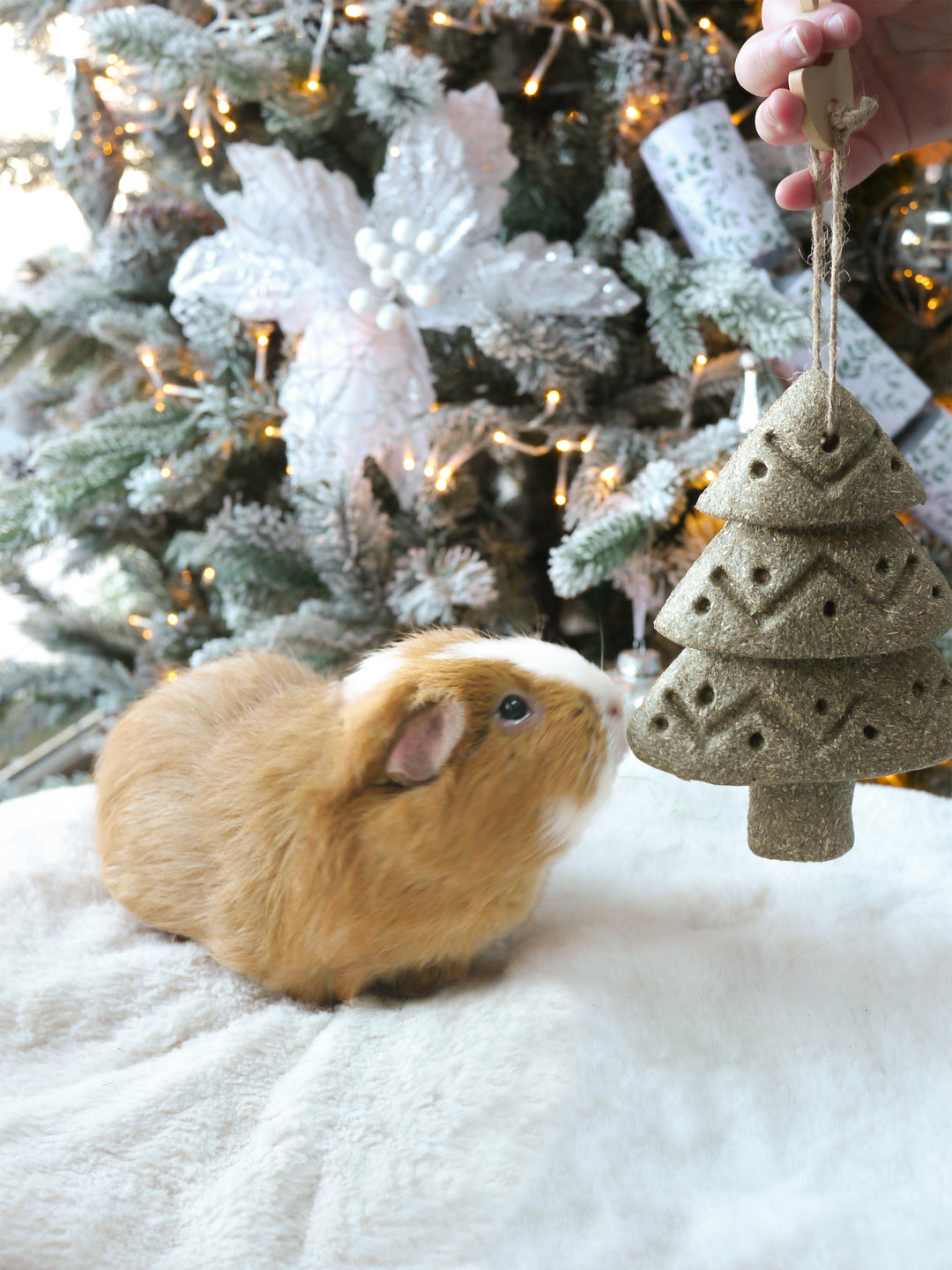 Cupid and Comet Timothy Festive Tree Gnaw 16cm