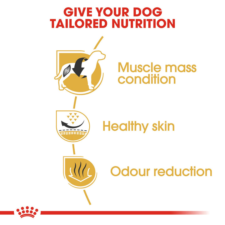 Royal Canin French Bulldog Adult benefits: muscle mass condition, healthy skin, odour reduction