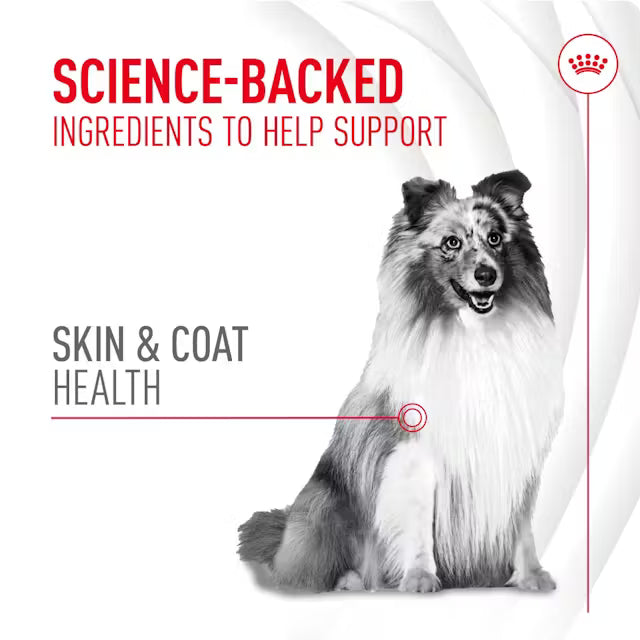 Royal Canin Adult Skin & Coat Supplement 240g