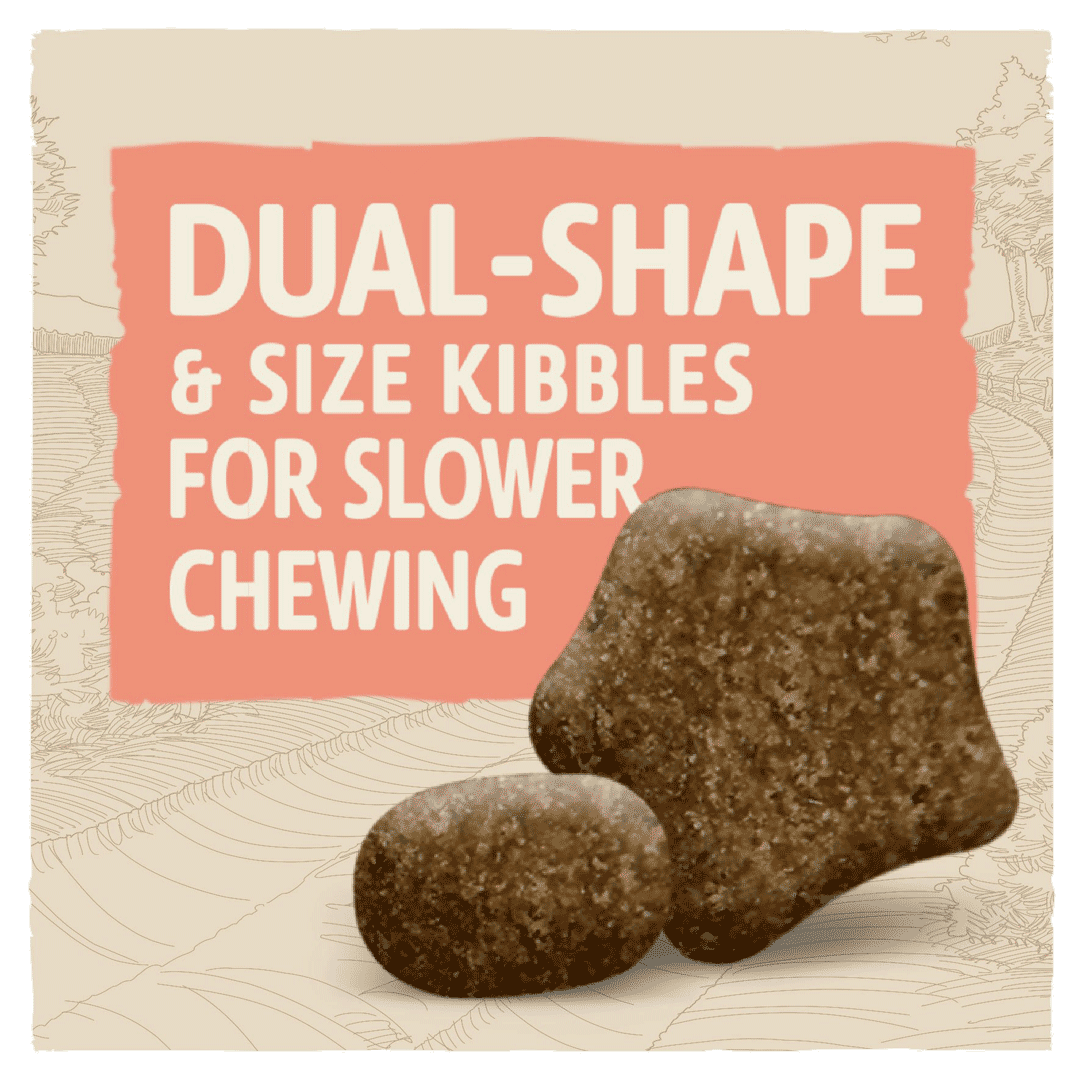 Beta Sensitive Salmon dual shape and size kibbles for slower chewing