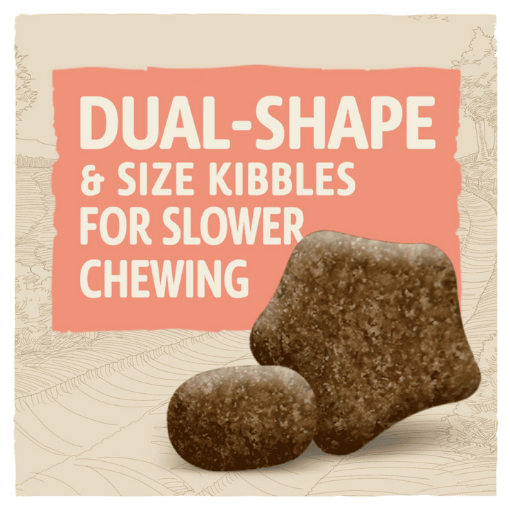 Beta Sensitive Salmon dual shape and size kibbles for slower chewing