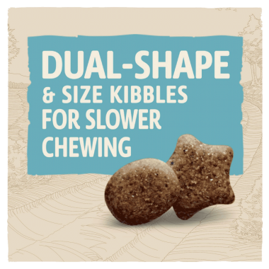 Beta puppy food clearance