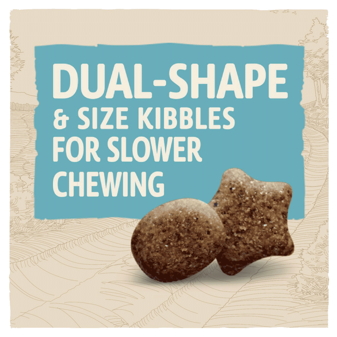 Beta Puppy Large Breed dual shape and size kibbles for slower chewing