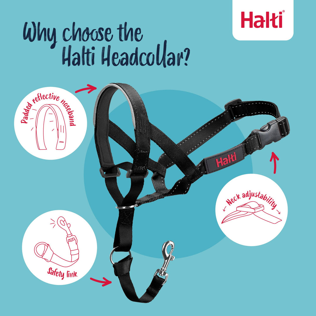 Halti Dog Head Collar Black Size 5
