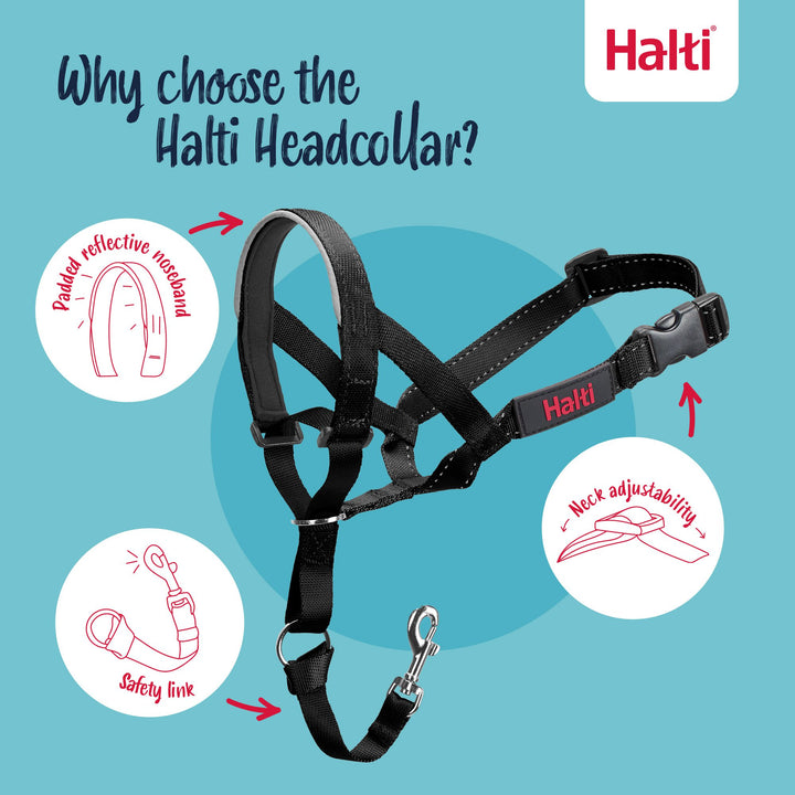 Halti Dog Head Collar Black Size 5