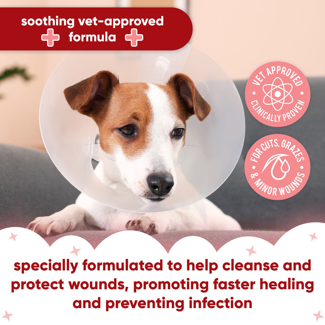Dog in a cone: Buddycare wound spray helps cleanse and protect wounds