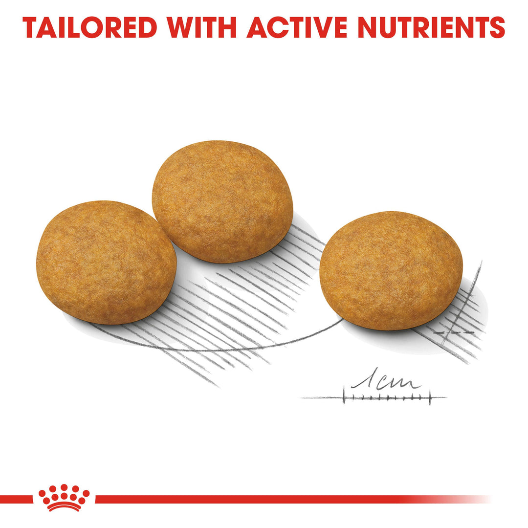 Royal Canin Medium Dermacomfort kibble tailored with active nutrients