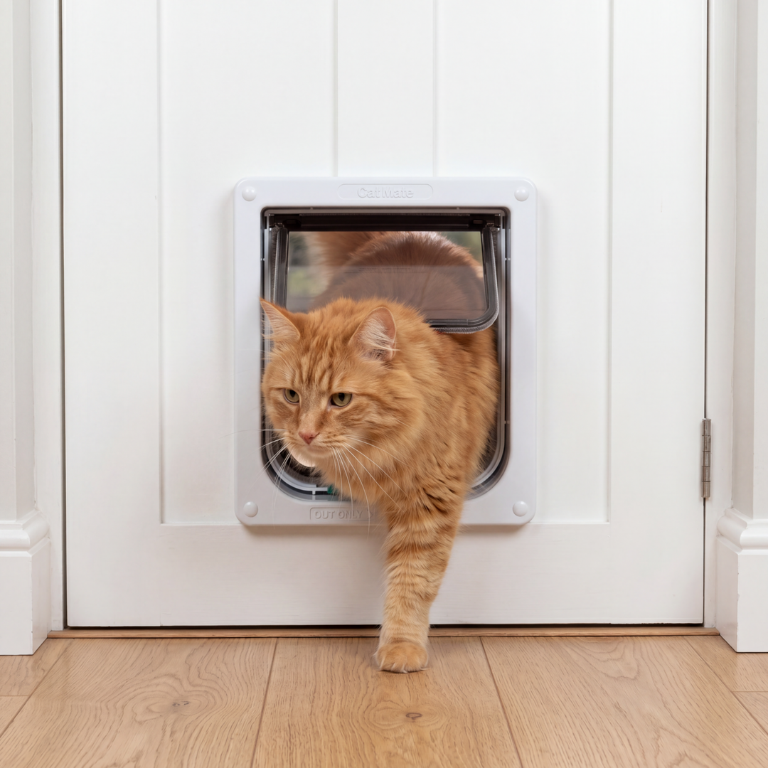 Cat Mate 4 Way Locking Cat Flap white fitted in a white door with cat coming through