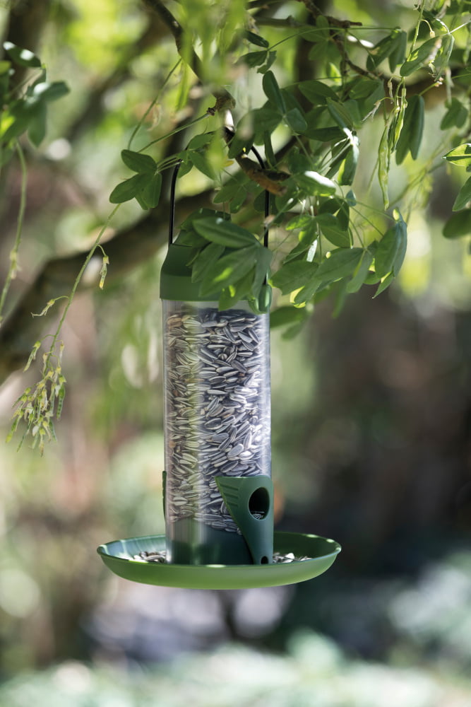 Bird Feeding Column Plastic 500ml/22cm - PetWorld
